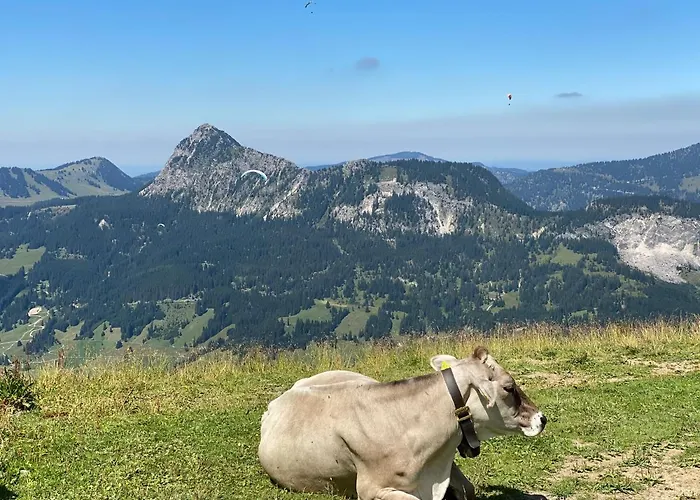 Mountain Moments Tannheim - Familie Weber