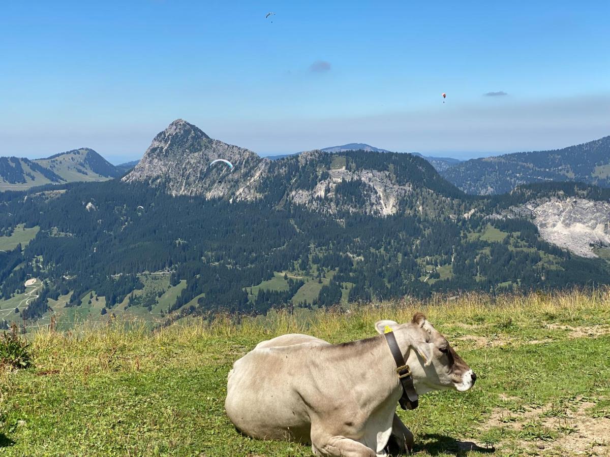 Mountain Moments - Familie Weber *